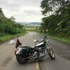 [PD] Harley Davidson - 0007